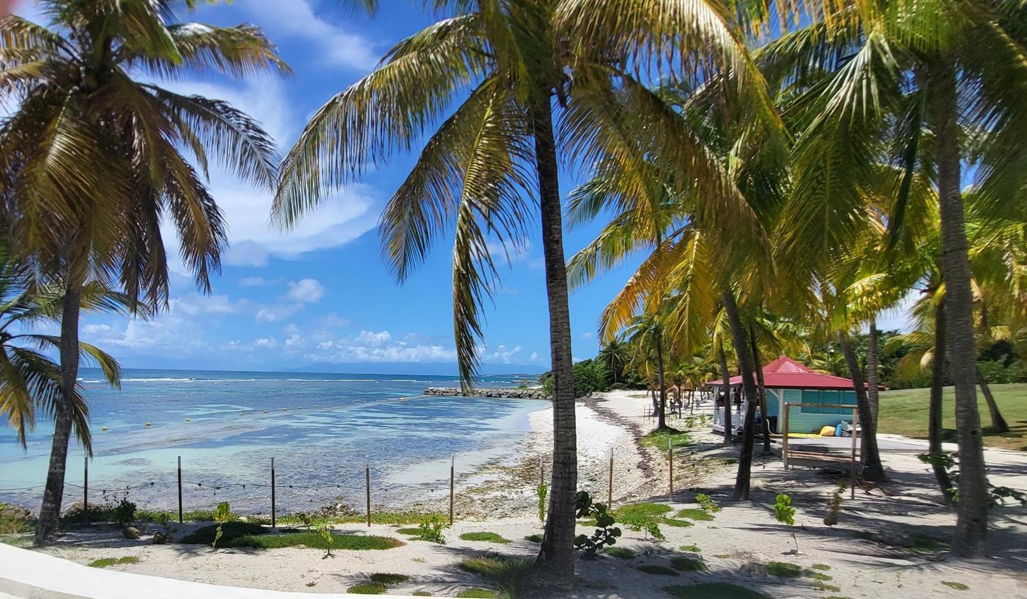 Studios Angoreva Vue Mer - Cote Plage Ou Jardin - Village Vacances - Sainte-Anne Guadeloupe Courcelles Dış mekan fotoğraf