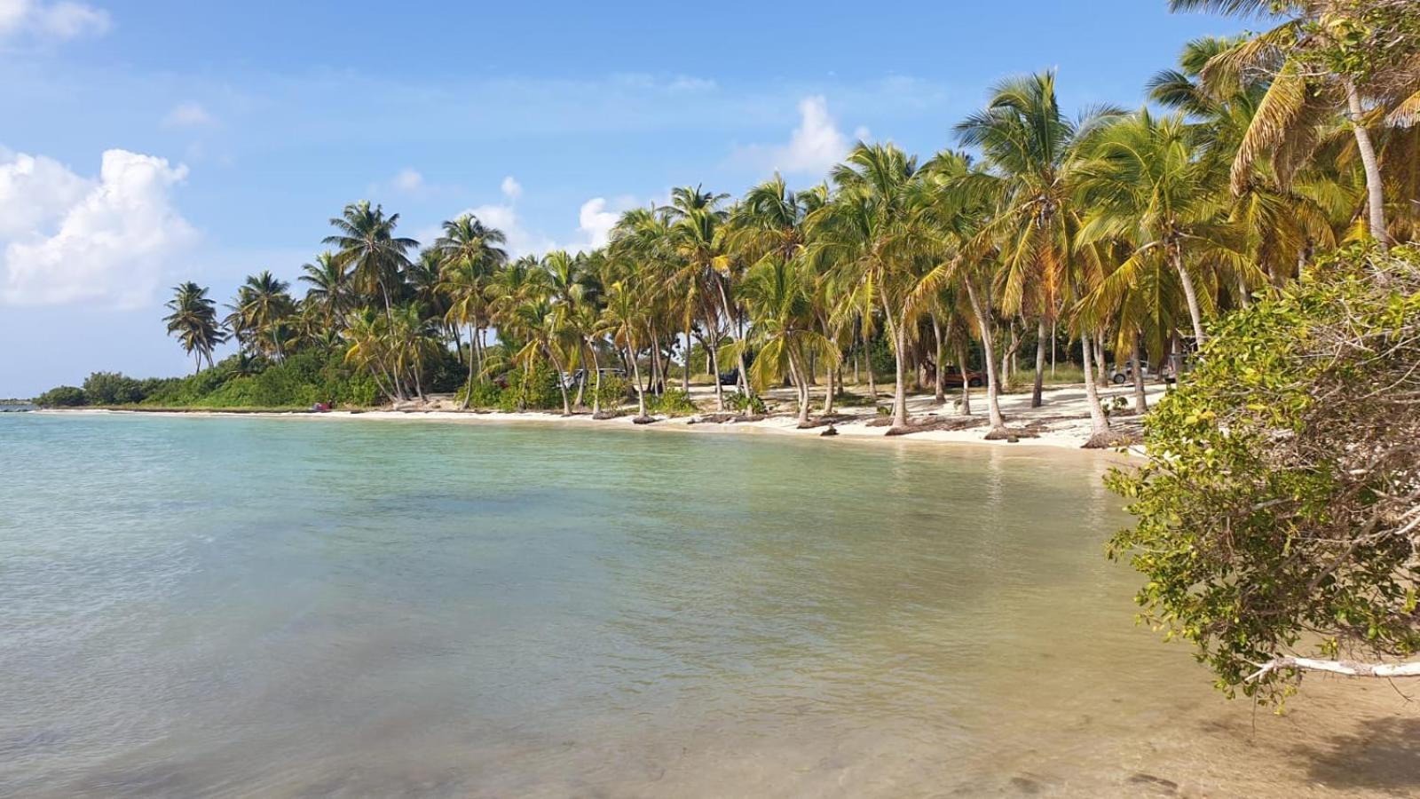 Studios Angoreva Vue Mer - Cote Plage Ou Jardin - Village Vacances - Sainte-Anne Guadeloupe Courcelles Dış mekan fotoğraf